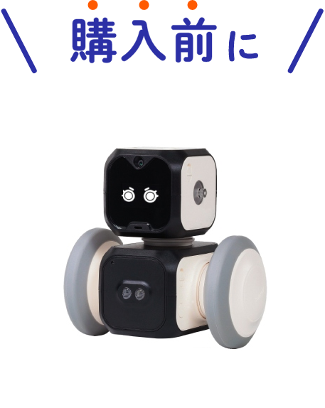 購入前に